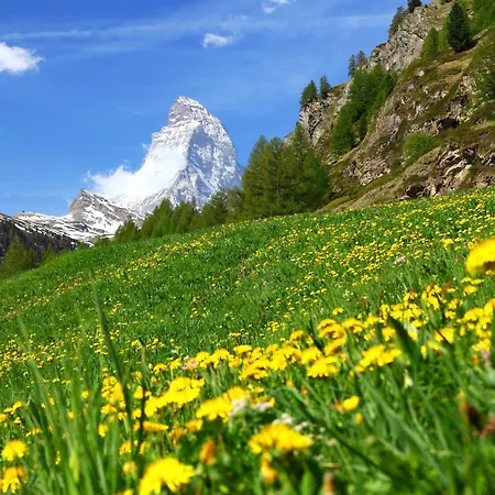 Bellevue-8 By Interhome * Zermatt